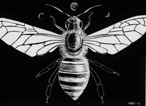 Bee Diagram